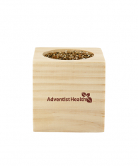 Sprigbox Sunflower Grow Kit